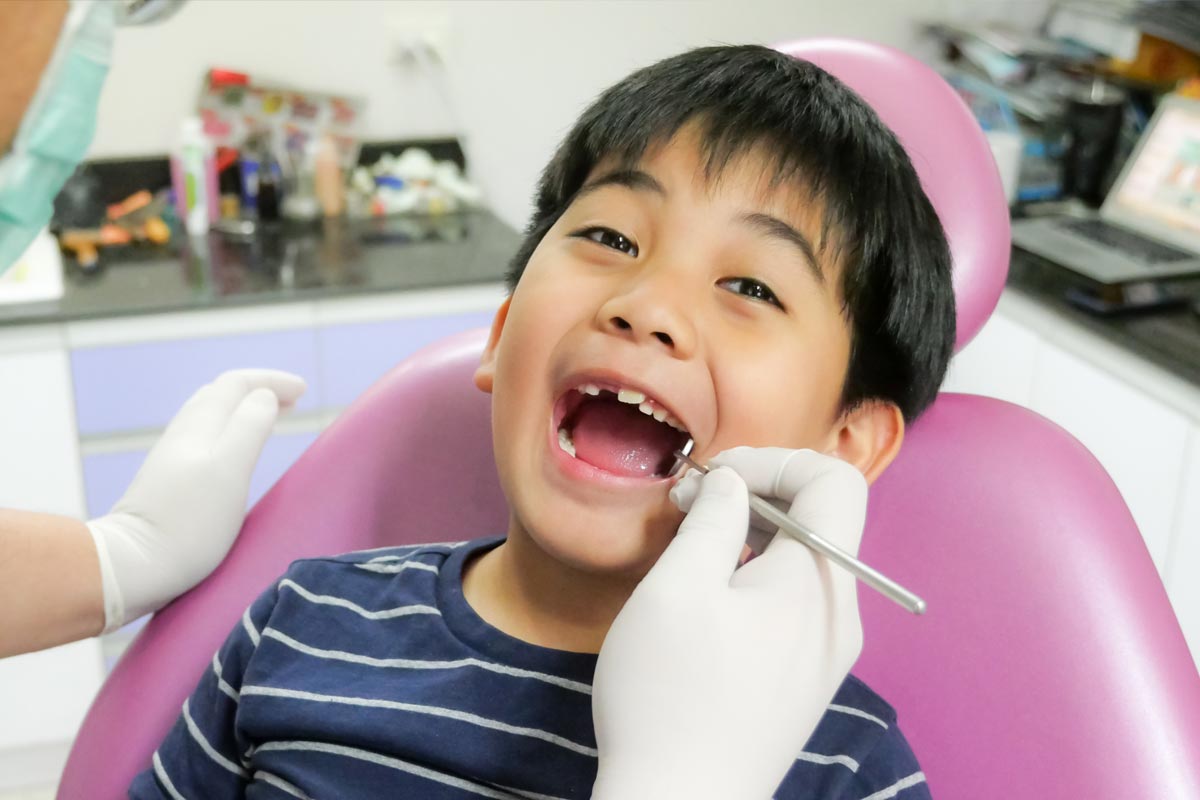 Bendigo Children's Dentistry - Paediatric Dentist